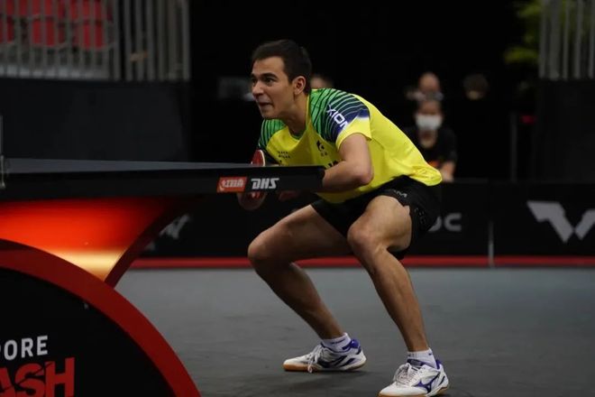 篮球领域的 篮球领域的